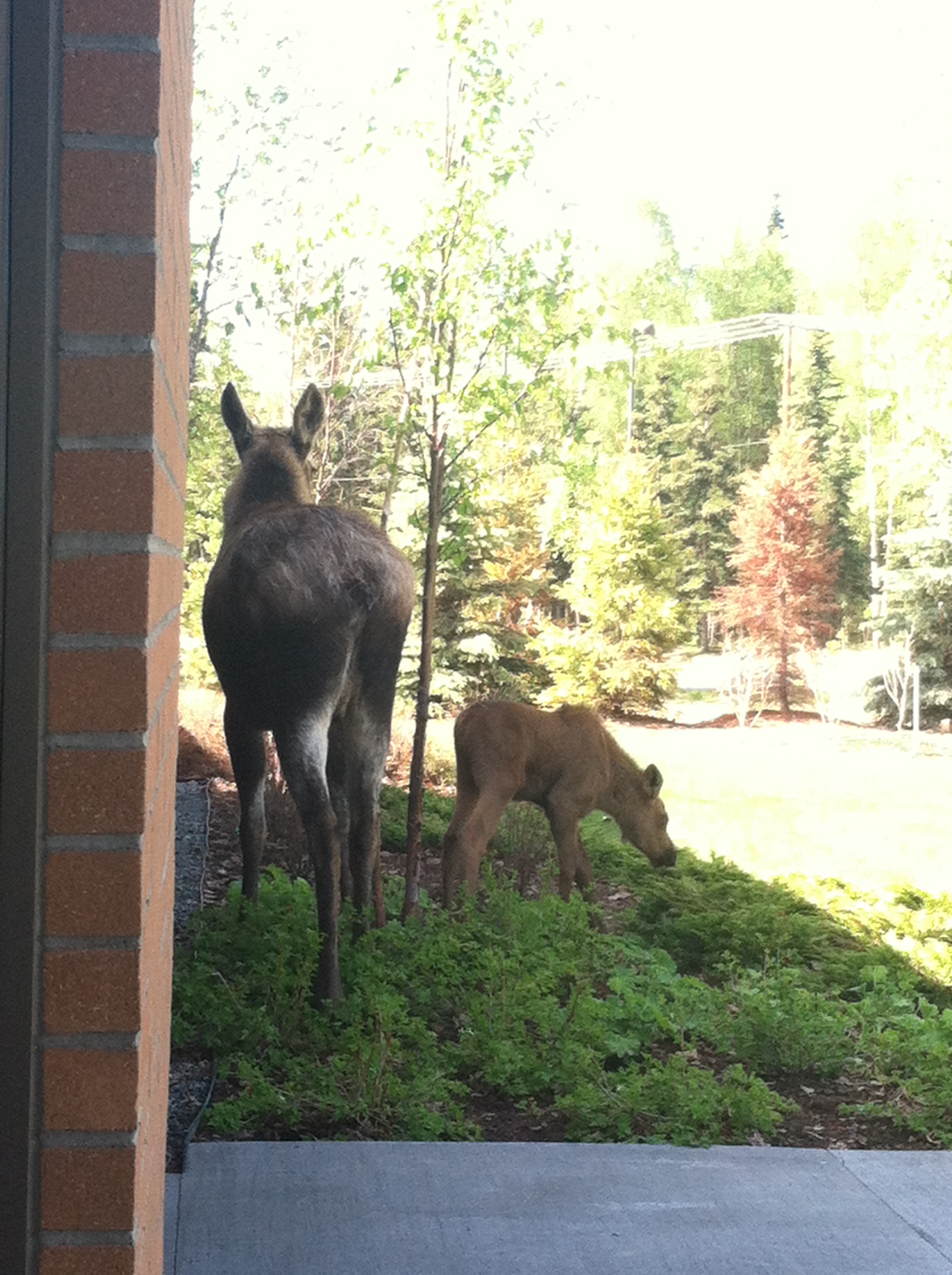 Special visitors to the AK Fisher House!