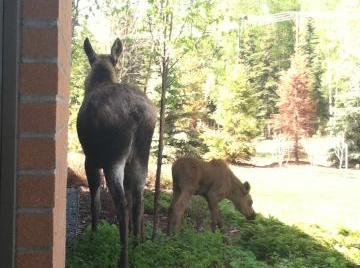 Special visitors to the AK Fisher House!